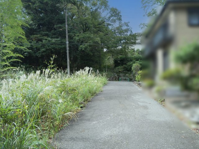 エンゼルフォレスト伊豆熱川③の前面道路含む現地写真
