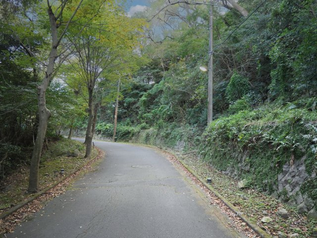 リゾートパーク伊豆あたがわ②