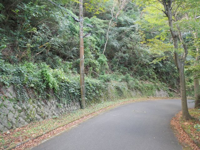 リゾートパーク伊豆あたがわ②の前面道路含む現地写真