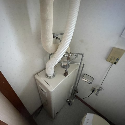 ドエル宮の森のその他