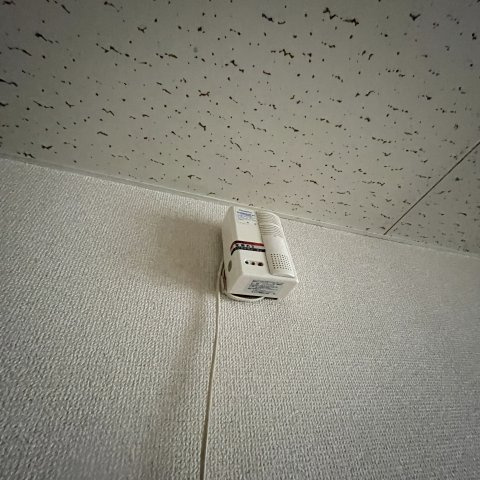 ドエル宮の森の設備