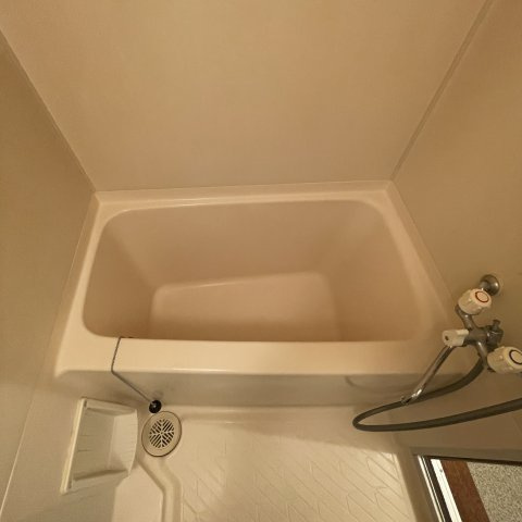 ドエル宮の森の浴室