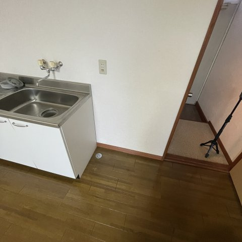 ドエル宮の森のその他