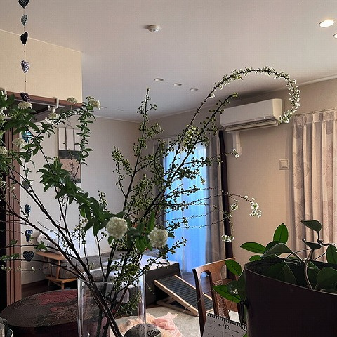 【居間・リビング】 | グレースマンション中山下公園 | ◇◆リビング◆◇