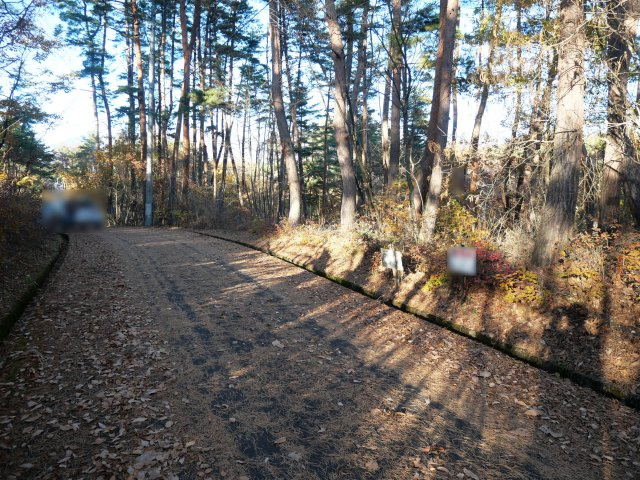 イトーピア小諸高原②の前面道路含む現地写真