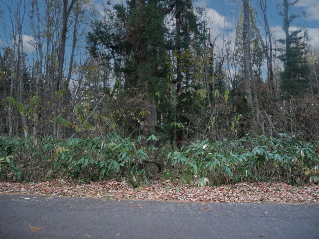 黒姫高原保健休養地①の外観
