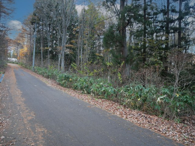 黒姫高原保健休養地①の前面道路含む現地写真