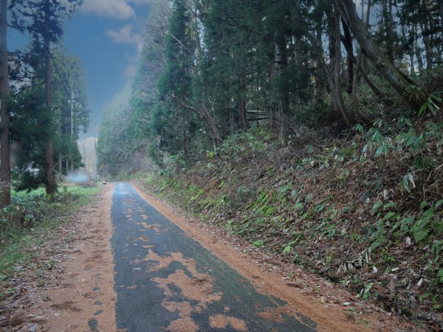 黒姫高原保健休養地①の前面道路含む現地写真