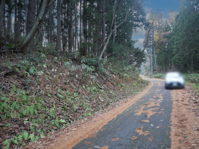 黒姫高原保健休養地①の前面道路含む現地写真