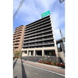 スプランディッドⅧの画像