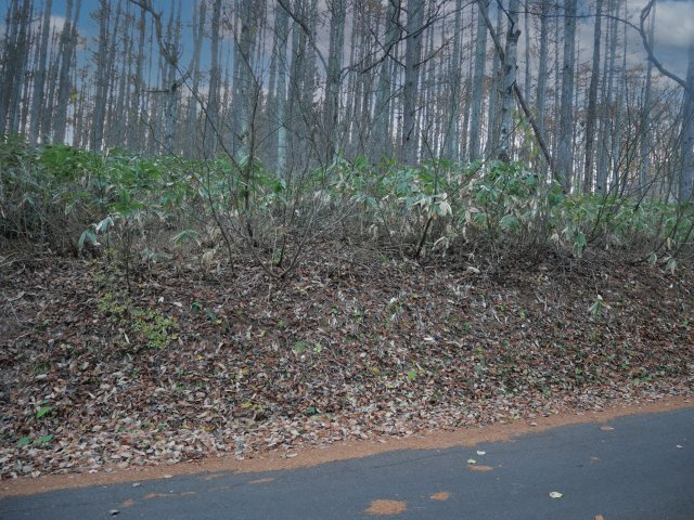 黒姫高原保健休養地②の外観