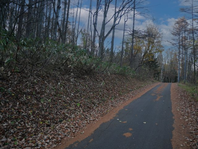 黒姫高原保健休養地②の前面道路含む現地写真