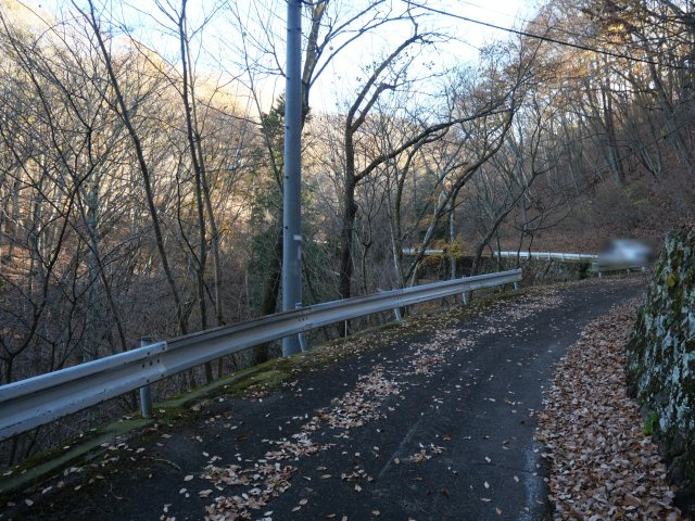 森泉郷別荘地④の前面道路含む現地写真