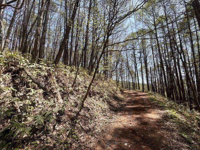 菅平高原十ノ原別荘地①