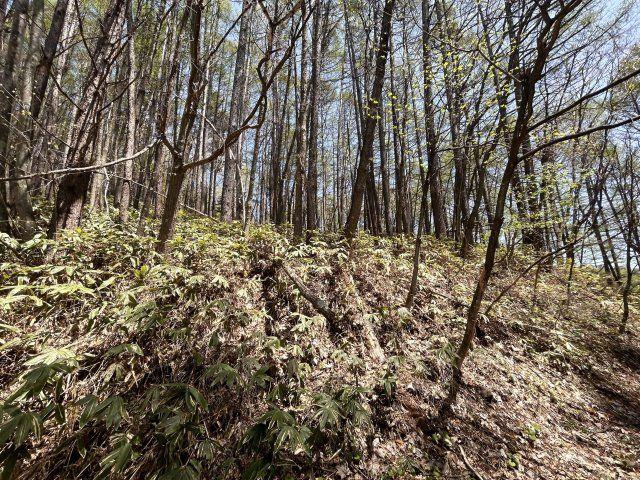 菅平高原十ノ原別荘地①の外観