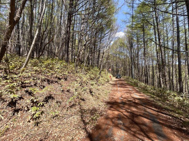 菅平高原十ノ原別荘地①の前面道路含む現地写真