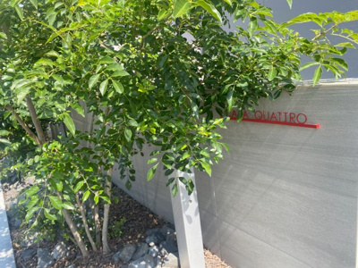 【エントランス】 | CASA QUATTRO