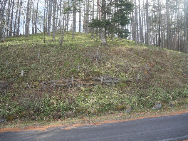 美しの国別荘地②