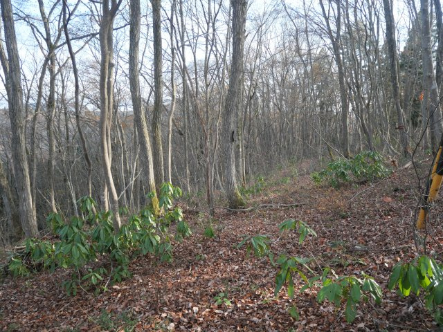 野尻湖グリーンタウン①