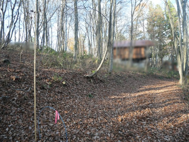 野尻湖グリーンタウン①の前面道路含む現地写真