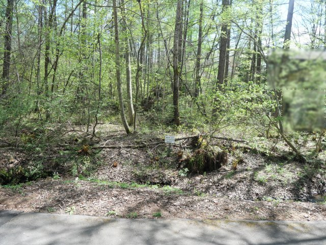 別荘の街・プリンスランド⑫