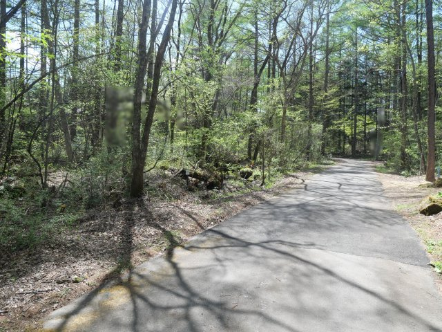 別荘の街・プリンスランド⑫の前面道路含む現地写真