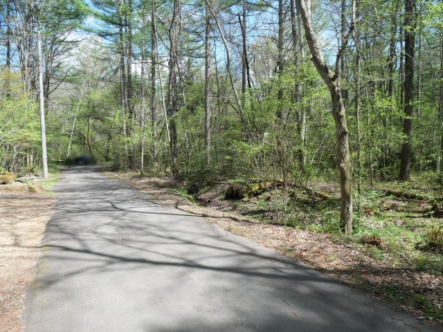別荘の街・プリンスランド⑫の前面道路含む現地写真