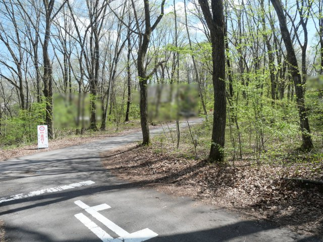 別荘の街・プリンスランド⑬