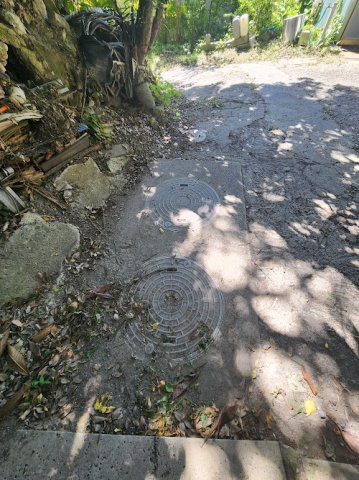 【前面道路含む現地写真】の画像