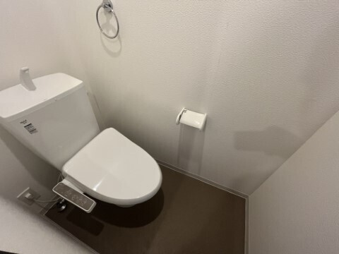 ジーメゾン岩槻本丸のトイレ|トイレも気になるポイント