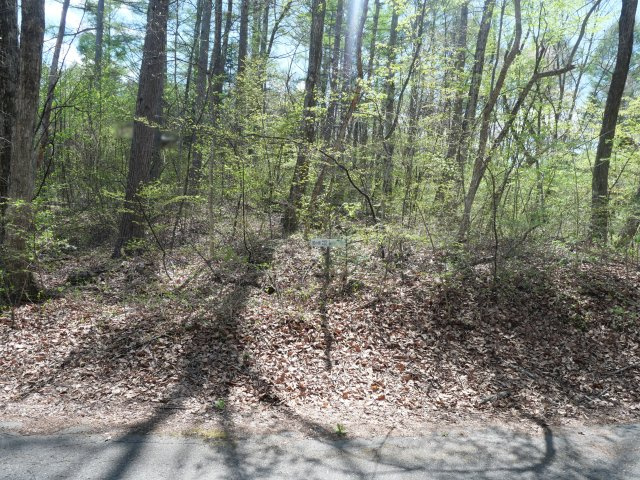 別荘の街・プリンスランド⑭