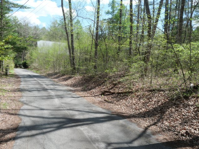 別荘の街・プリンスランド⑭の前面道路含む現地写真
