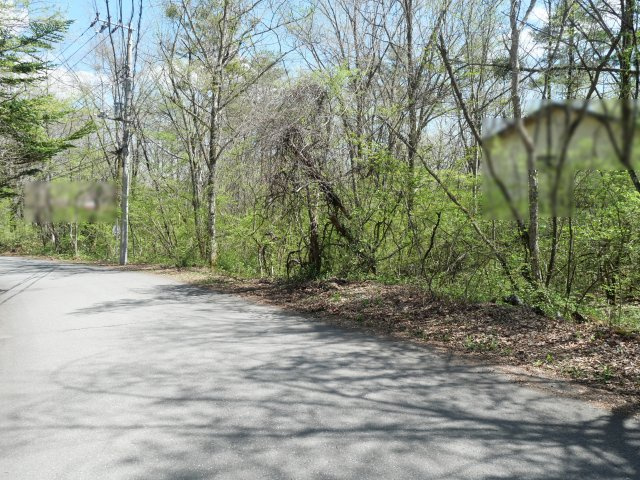 別荘の街・プリンスランド⑮の前面道路含む現地写真
