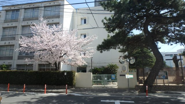 ビーブル・デスポワール御影の周辺