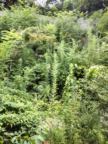 西宮市角石町土地の外観