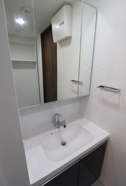 GENOVIA 白糸台 skygardenの洗面所