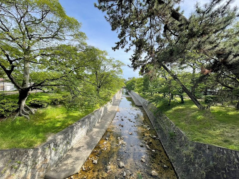 西宮市泉町　中古戸建の周辺|夙川オアシスロードまで約80m　阪神香櫨園駅までマイナスイオンを浴びながら通勤できます。