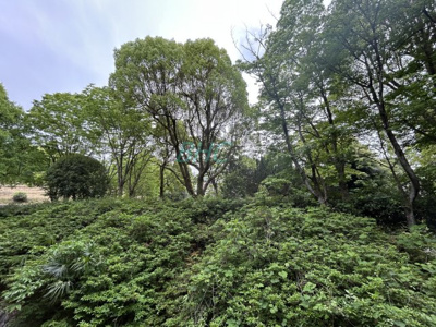 【展望】 | ライオンズマンション大津秋葉台 | 青い空が広がる開放的なバルコニー。