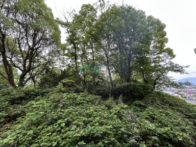 【展望】 | ライオンズマンション大津秋葉台 | 日差しを遮るものがないので、育ち盛りのお子様のお洗濯ものが多くてもたっぷり気持ちよくお洗濯して頂けます。