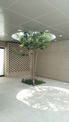 【エントランス】 | ロジュマン千里中央ヒルズ