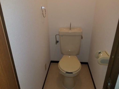 熊本市中央区八王寺町の賃貸マンションのトイレ