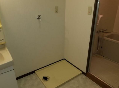 熊本市中央区八王寺町の賃貸マンションの洗面所