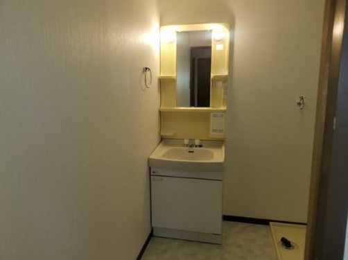 熊本市中央区八王寺町の賃貸マンションの独立洗面台