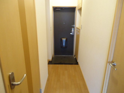 【内装】 | メゾン・ド・ネイジュⅡ | 廊下