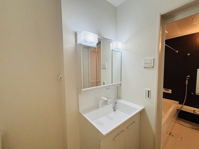 Terrechez中川区中須町2期｜名古屋市の戸建ならホームアップの独立洗面台|三面鏡で朝の身支度に最適