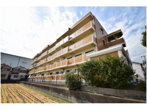 フレーバーフラッツ