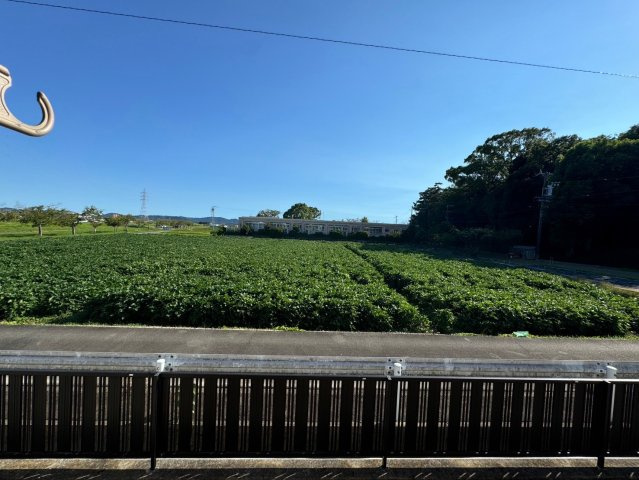 ディアス桜井の展望