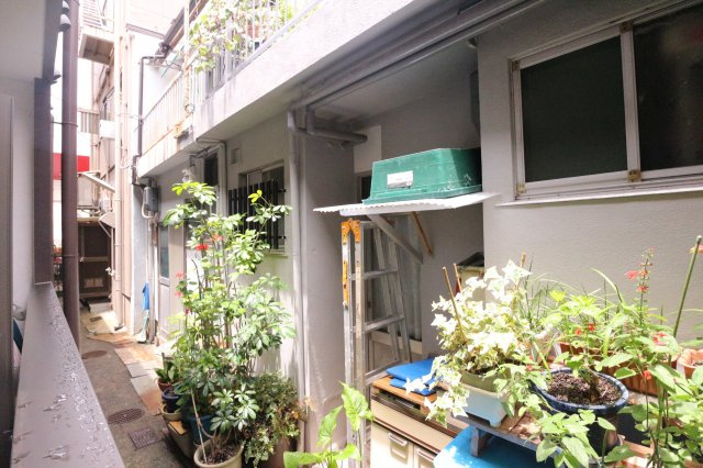 ニューナイスマンションの展望