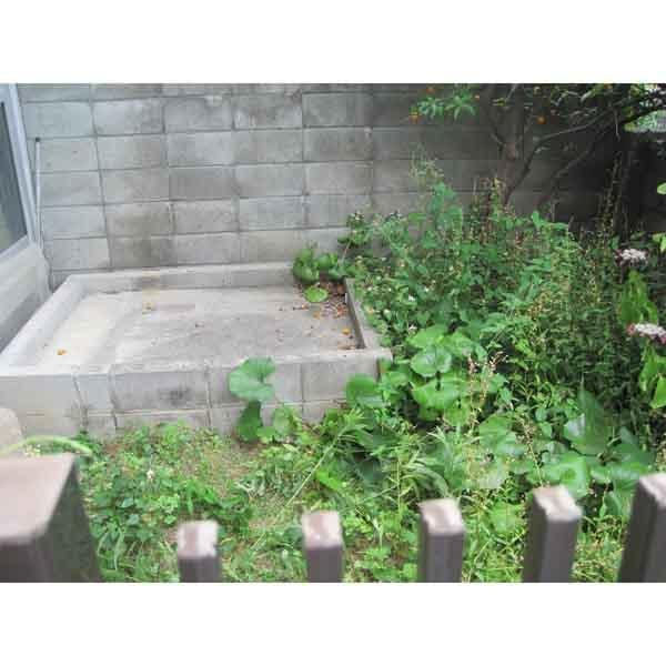 五毛通３丁目貸家|庭