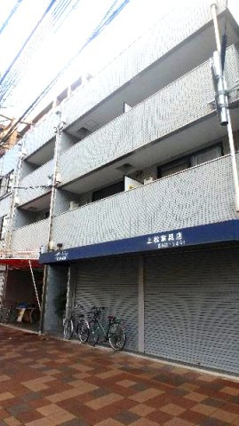 プラタナス・アベニュー